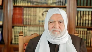 مفتي الجمهورية