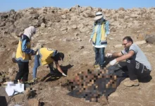 مقبرة جماعية