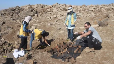 مقبرة جماعية