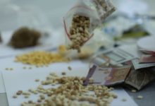 المخدرات والحشيش في إدلب