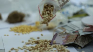 المخدرات والحشيش في إدلب