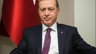 برنامج خاص لدعم سوريا