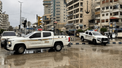 فلول النظام في اللاذقية