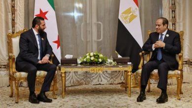 التكامل السوري المصري